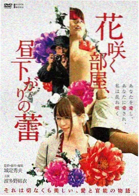 星际漫游指南海报